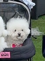 目どしたん❓