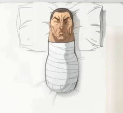 DashFox! tweet media