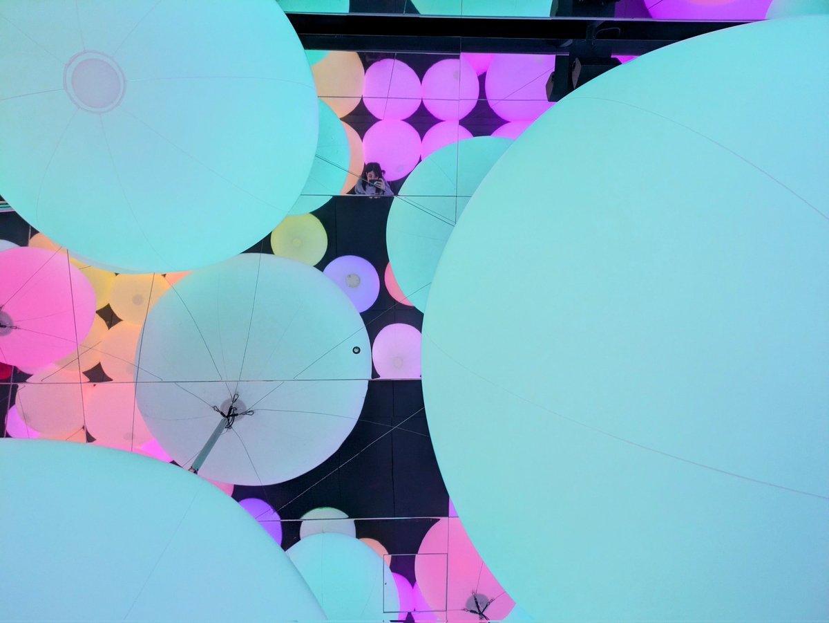 tompkin🎃 tweet media