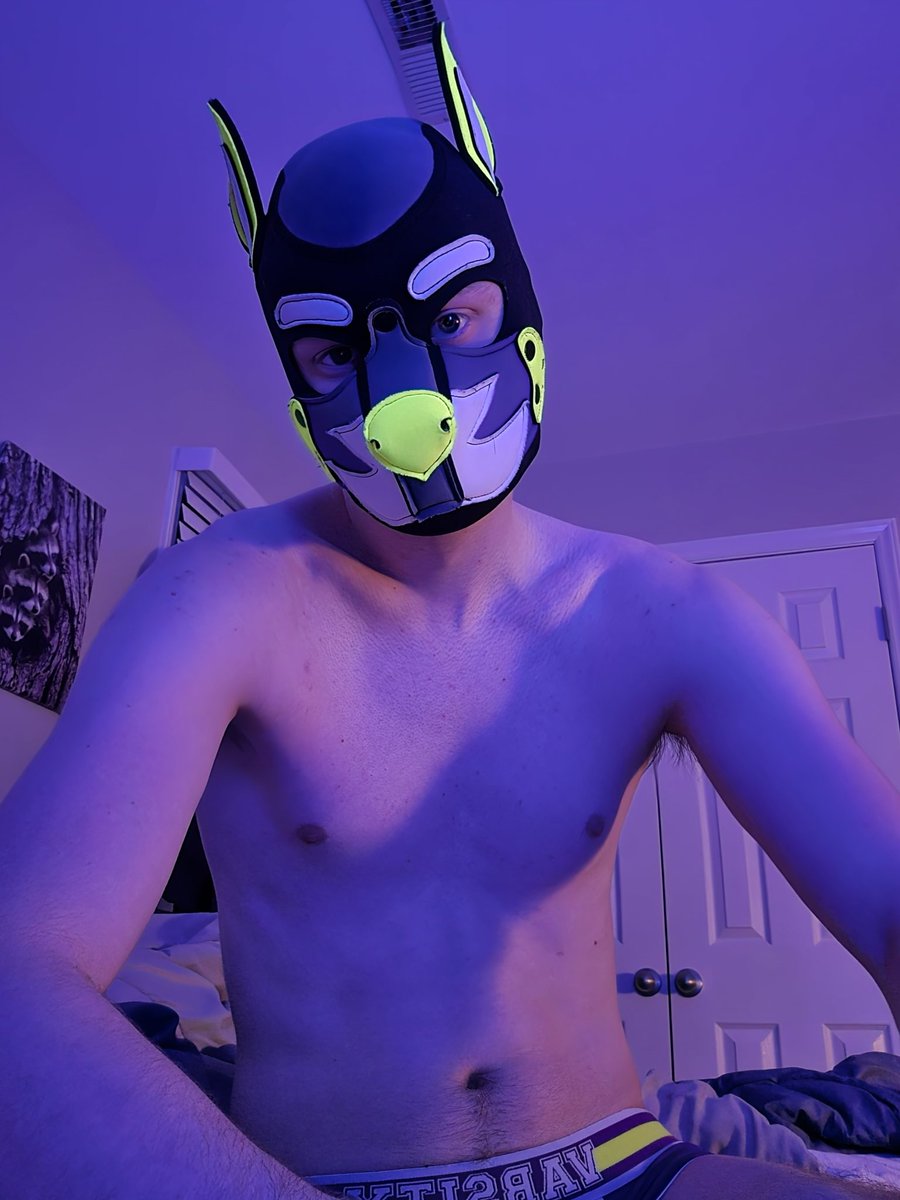 Pup Arthur ➡️ FWA tweet media