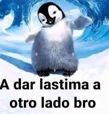 Dragona Freemartin tweet media