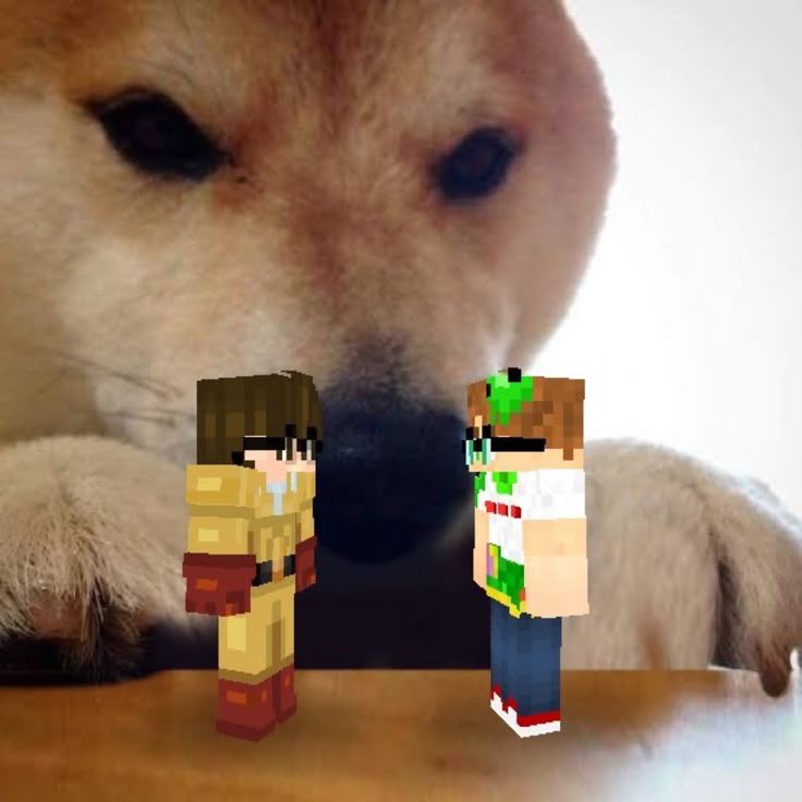 –Yams | QSMP IS BACK💛💚 tweet media