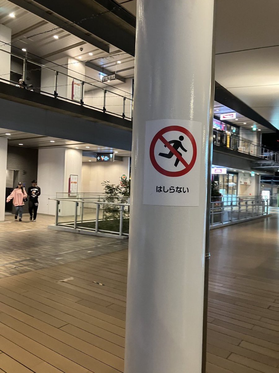 ずっと見ていたい動画 tweet media