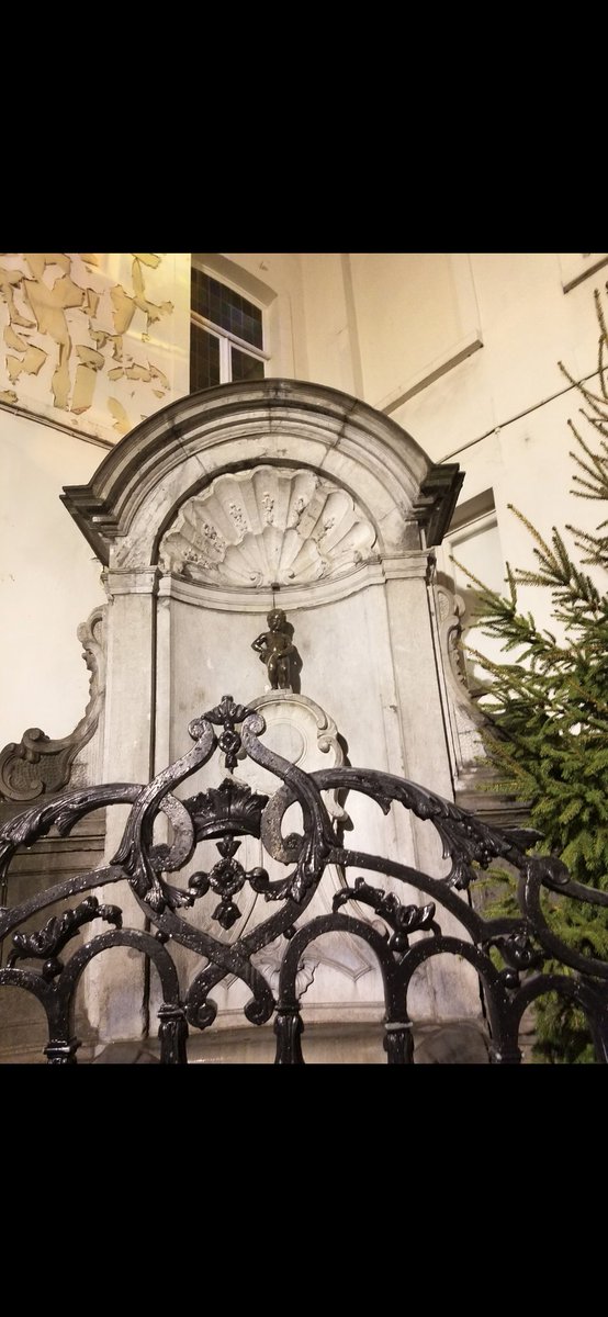 niko25211@ポケモンGO兵庫&大阪&山口 tweet media