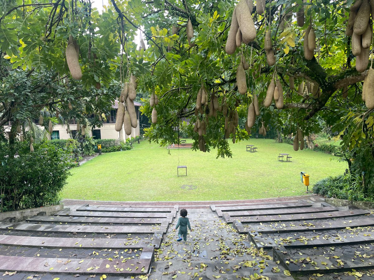 skyrora ⋆.˚༄ tweet media