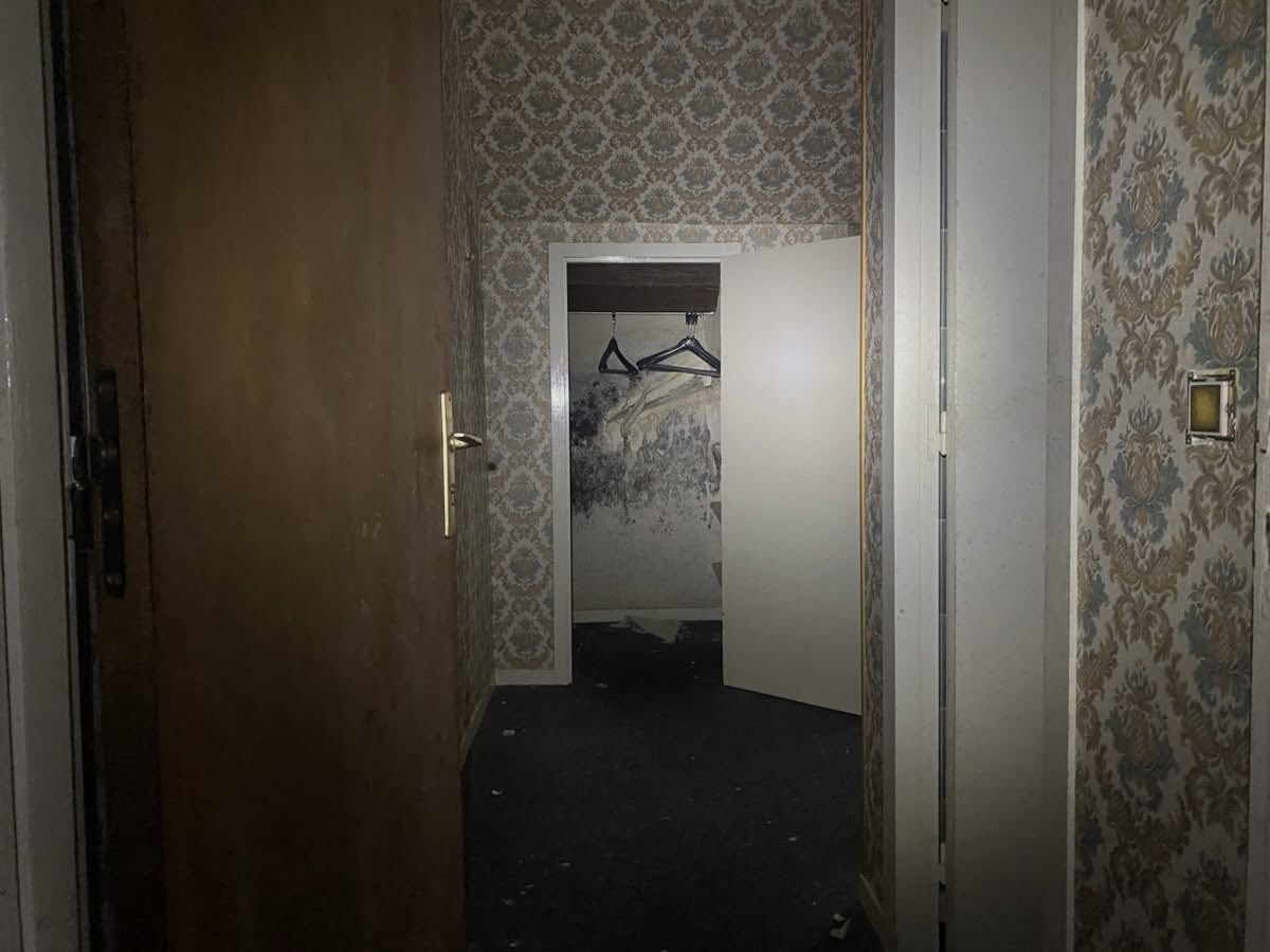 dreamland tweet media