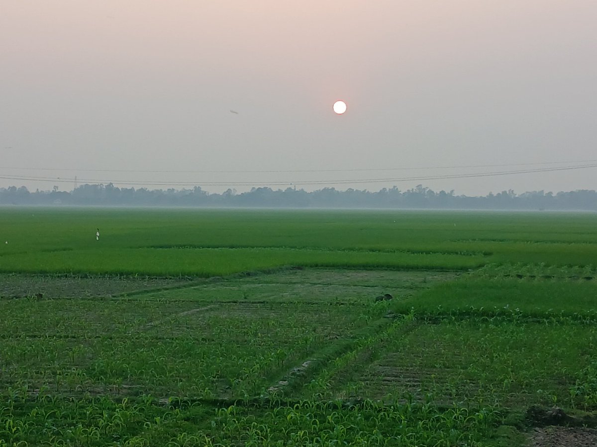 Gm
How much will u give 10 out of 10 ?