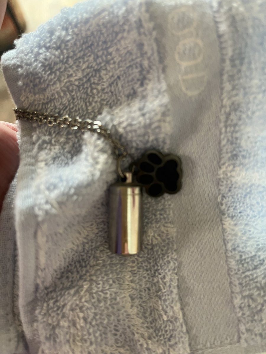 shirataka221's tweet photo. 緊張で吐き気がしてくる。亡くなった愛犬の遺骨の入ったペンダントと、亡くなった大の仲良し主婦さんの葬儀で頂いたミニタオル。とにかく身につけて行く。見守っててって思いながら。時間⏳が迫って来た。靴下を履いて、待ち合わせ場所に行かないと🛵大丈夫🙆‍♂️自分に言い聞かせてる😌 https://t.co/iihiJglqLu