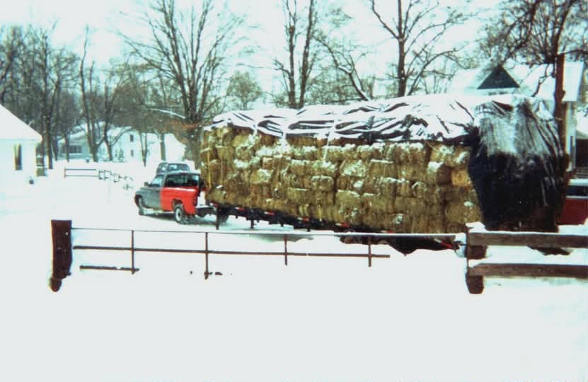 VanRaalte, Agro-Nationalist tweet media