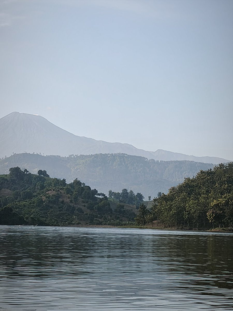 juminten tweet media