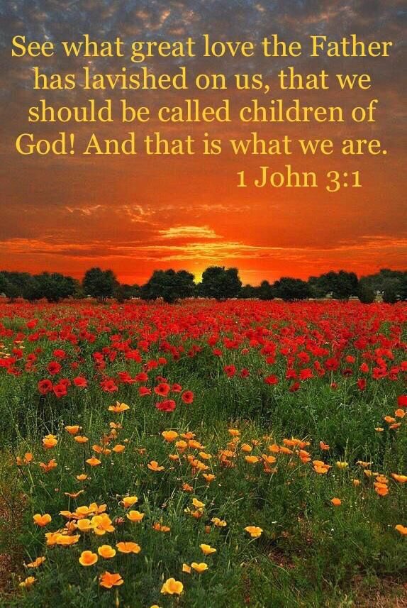 Shinning Star tweet media