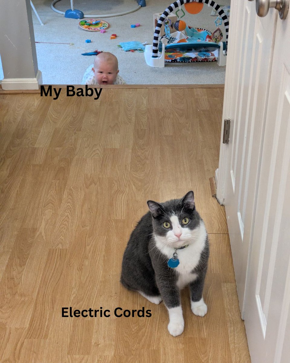 forestidylls's tweet photo. Daniel challenged me to make 14 memes out of this photo. So here we go! 12 of 14. What would your caption be?

#forestidylls #funnymemes https://t.co/mtYSVxjjZF