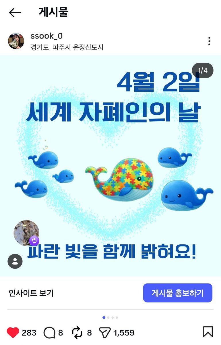 폴린토 tweet media