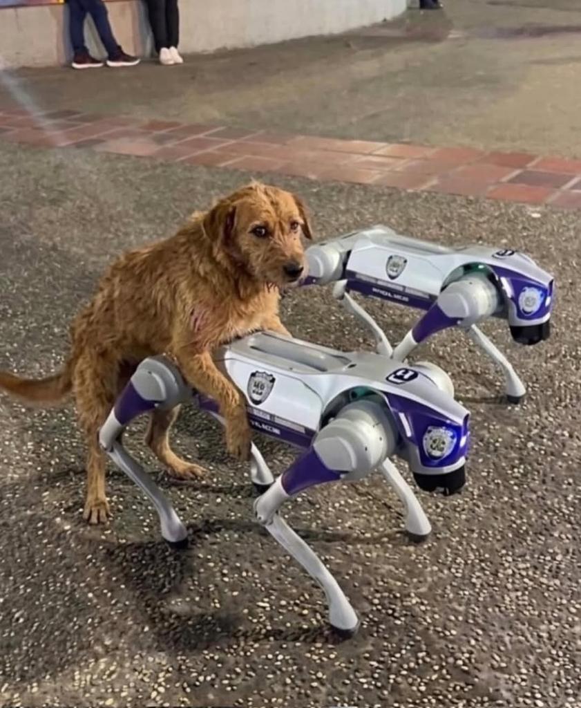 Marvin Mijares tweet media