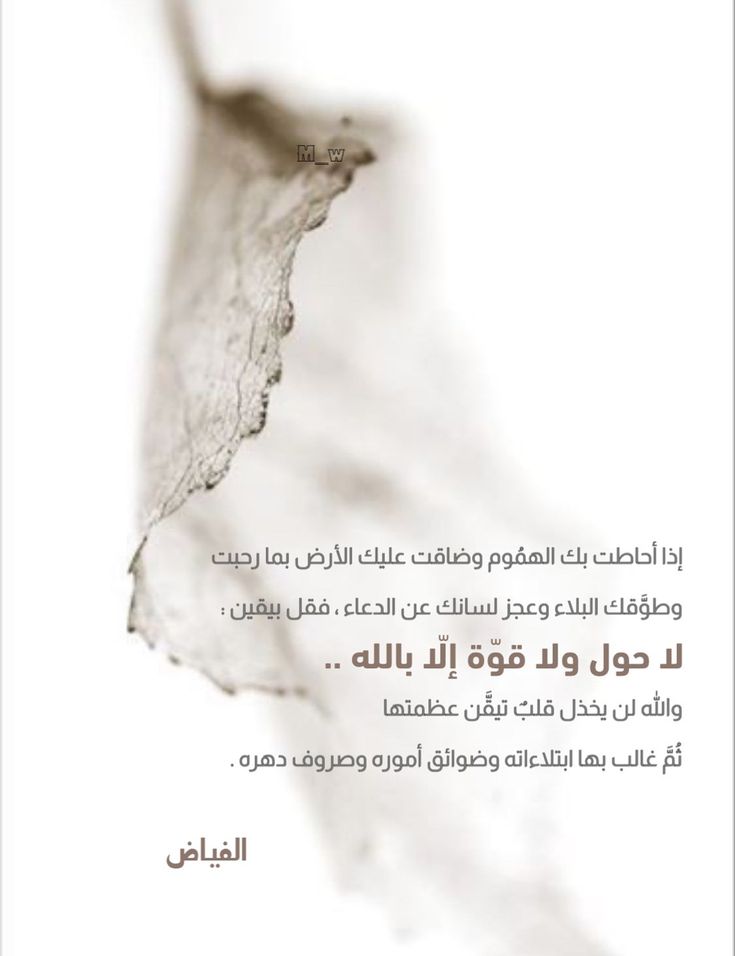 𝑨𝒏𝒇𝒂𝒍 tweet media