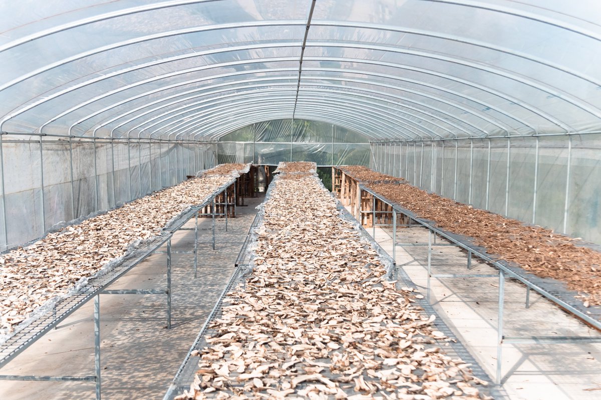 PHAMA Plus tweet media