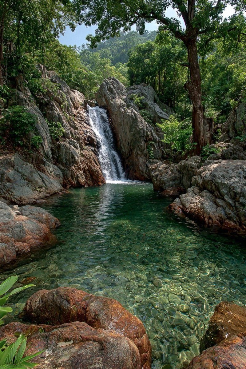 EarthPic tweet media