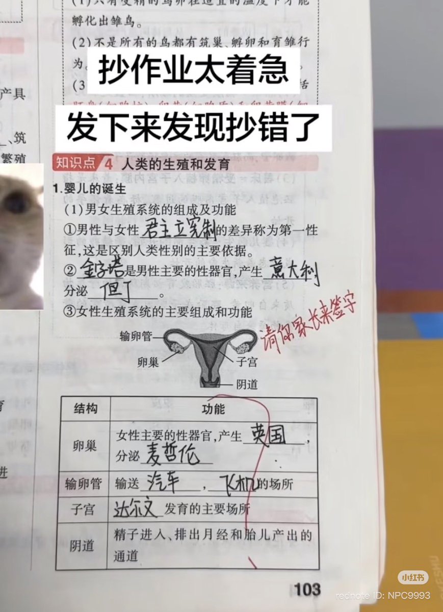 禿道道🐟 tweet media