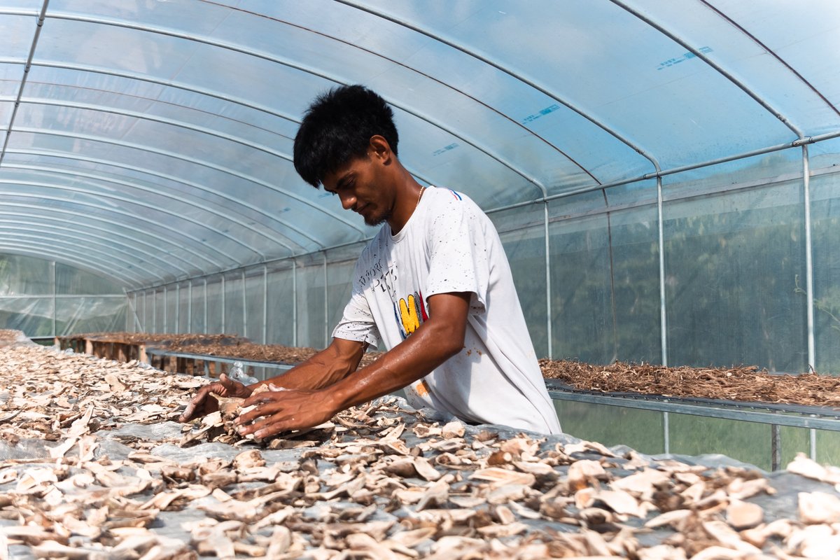 PHAMA Plus tweet media