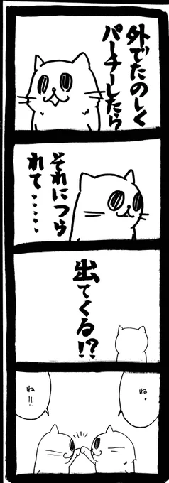 ドワーフキャットタオルちゃん52 