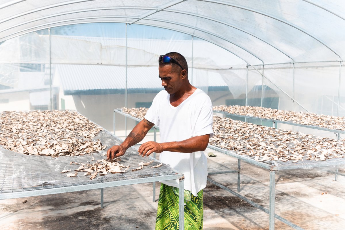 PHAMA Plus tweet media