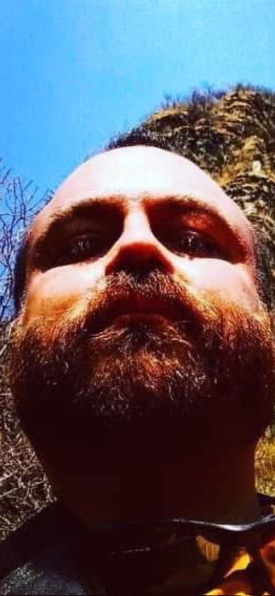 Millbrook Mush tweet media