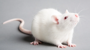 HanterPoen ✝️🇵🇱 tweet media