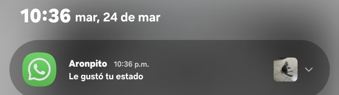 cata ❤︎ tweet media