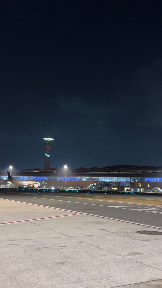 REO 🐙 tweet media