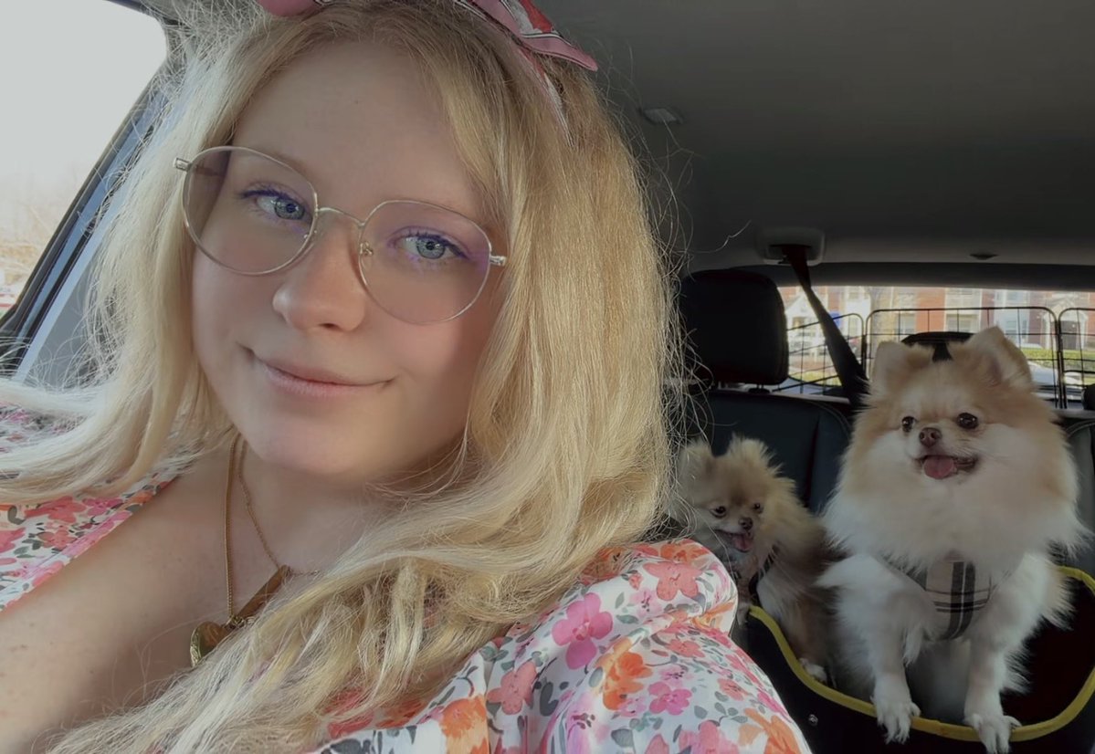 inari🎀 tweet media