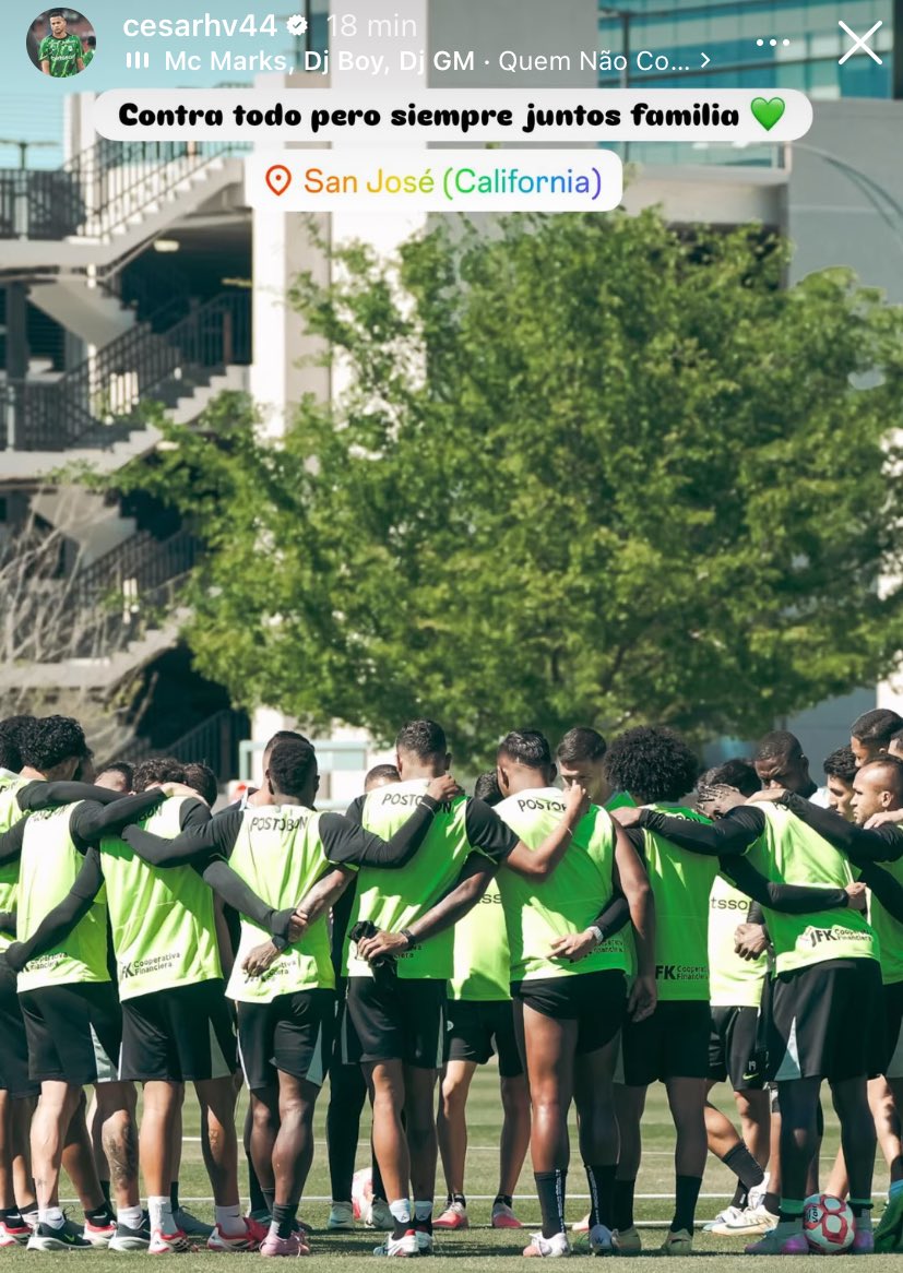 Ohh verdolaga tweet media