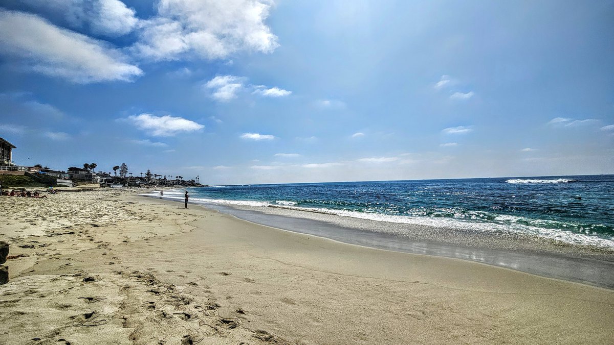 ShinyBound tweet media