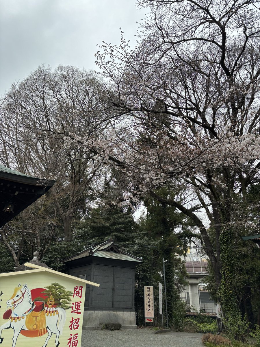 kai_active's tweet photo. ＃桜　＃サクラ　＃さくら
＃朝散歩　＃神社 https://t.co/Or2d42EWi9