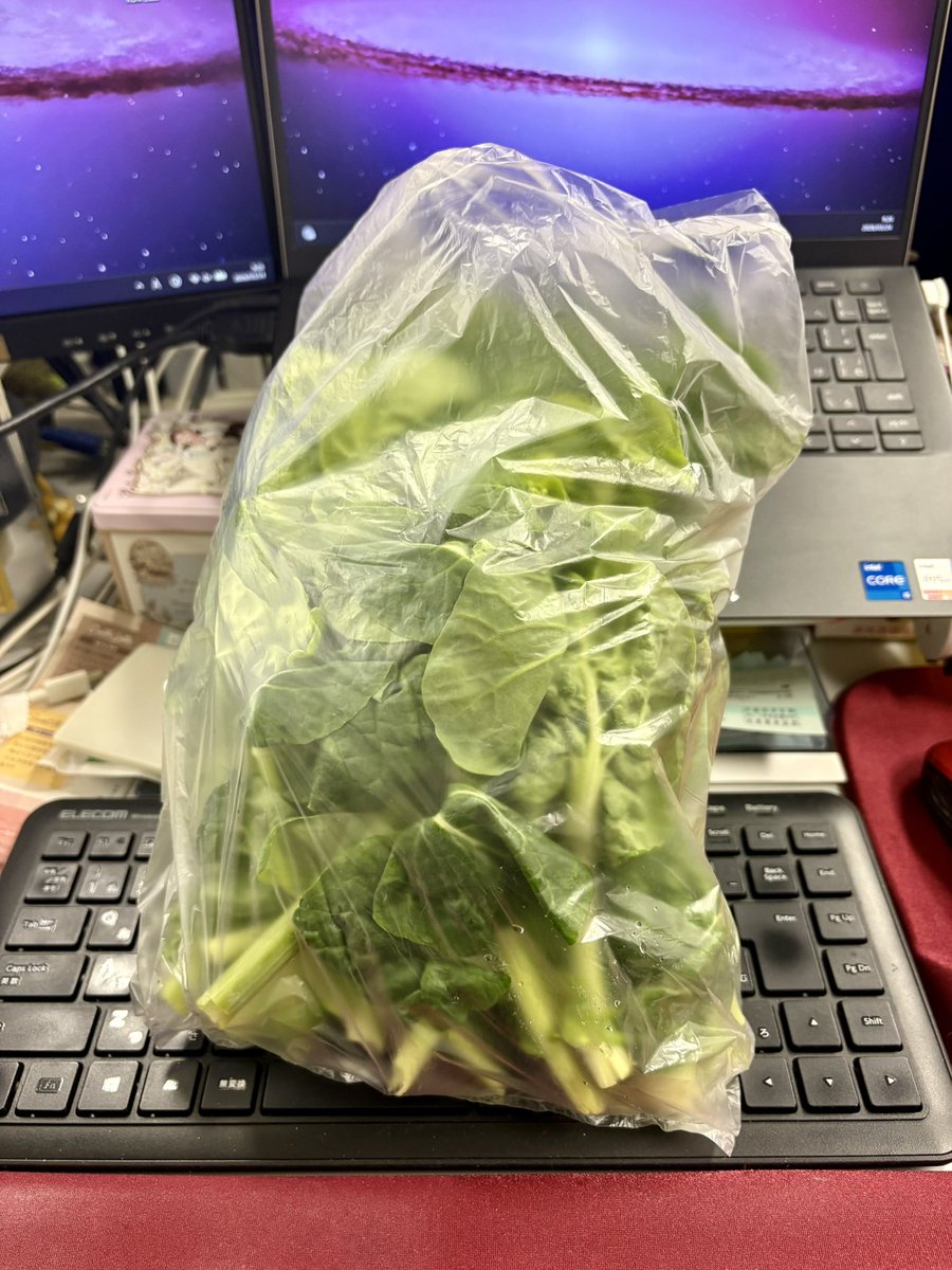 あんちゃん(´･ᴥ･`)🪕🎶 tweet media