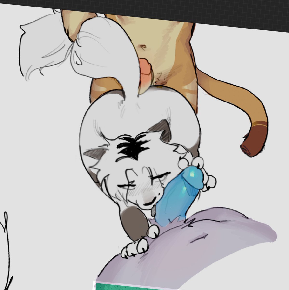 doja 🔞 tweet media