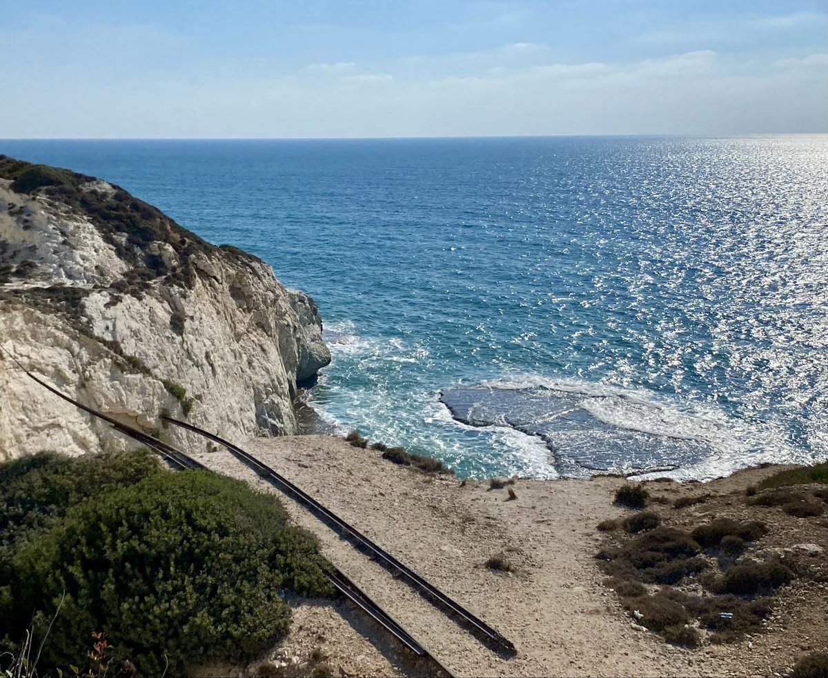 Maya Mikdashi tweet media