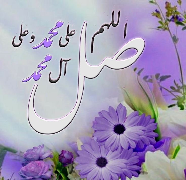 🇰🇼🦋🕊️❤️Amoon tweet media