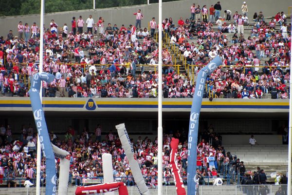 Camberismo tweet media