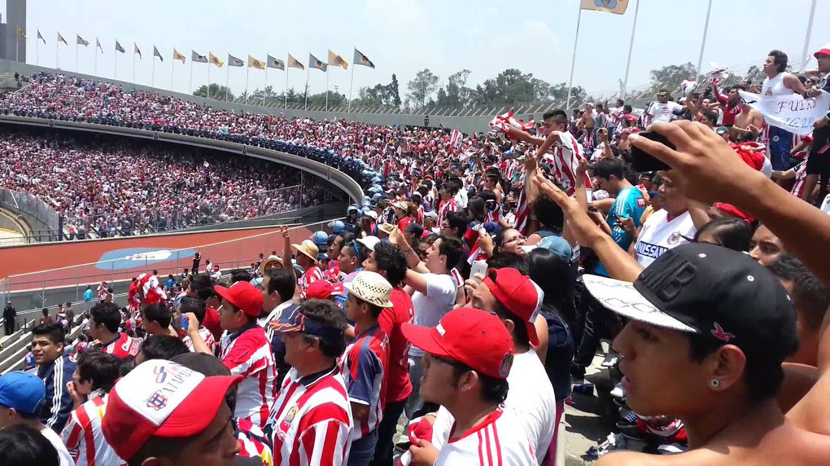 Camberismo tweet media