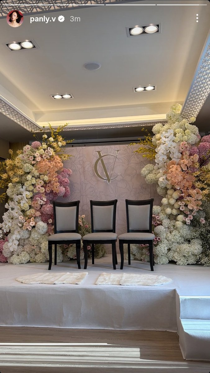 lmanoy 🐈‍⬛🐈 tweet media