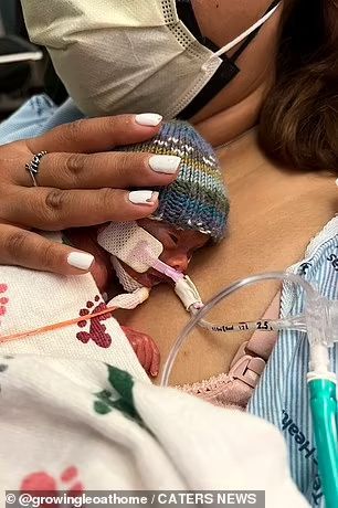 LifeNews.com tweet media