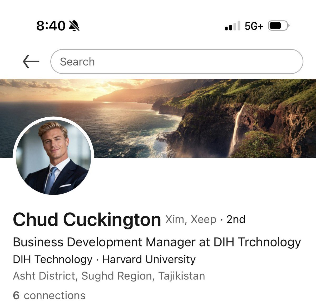 Tortoiseshell Costas tweet media