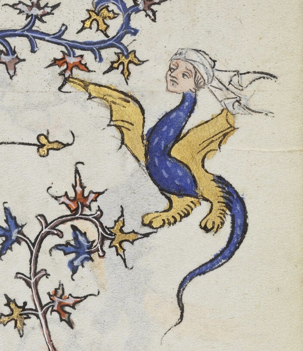 Dr Lacey Bonar Hull tweet media