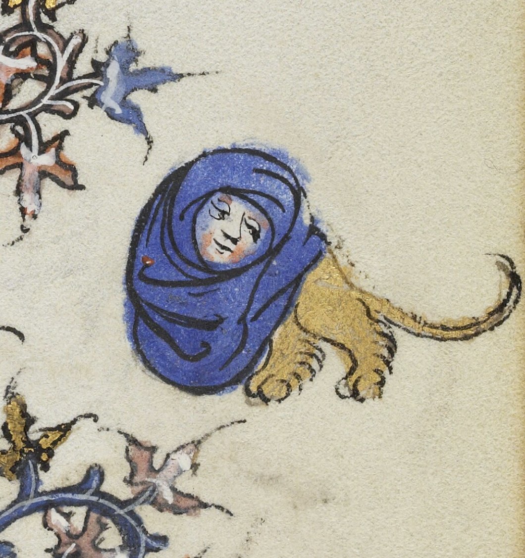 Dr Lacey Bonar Hull tweet media