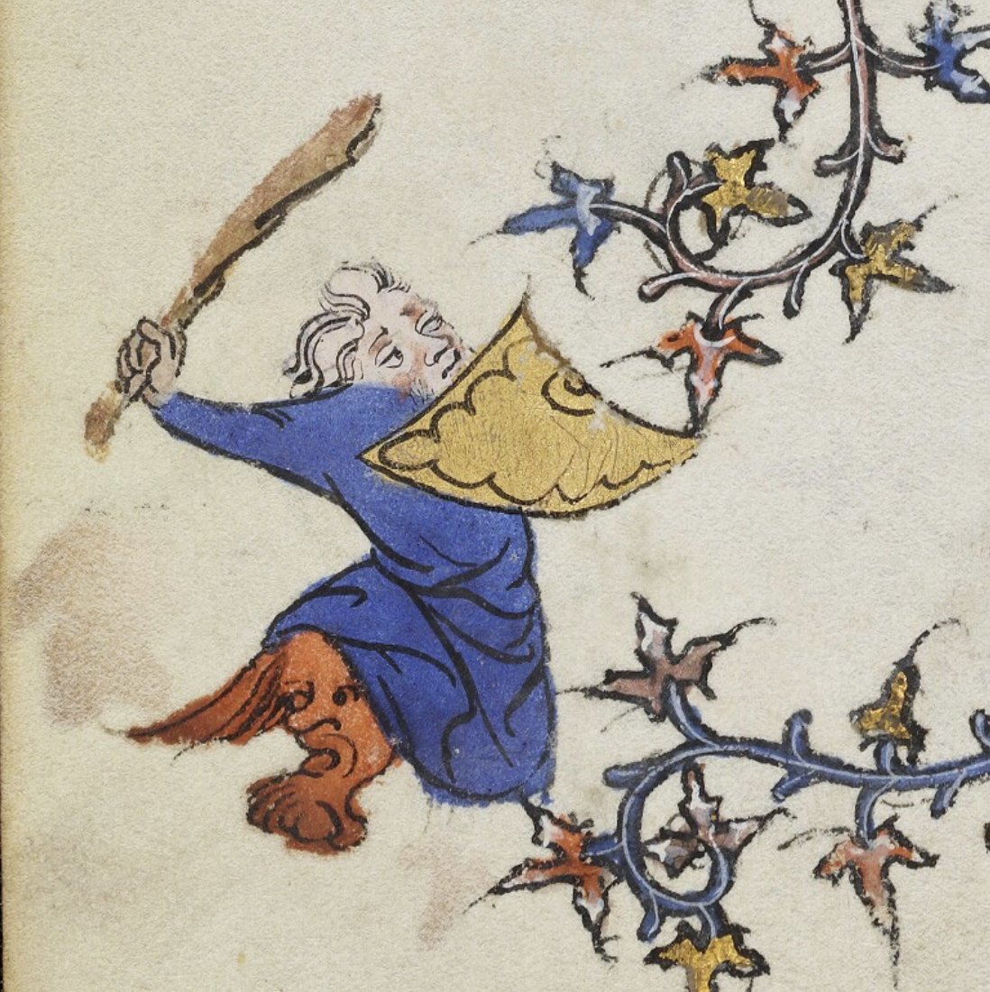 Dr Lacey Bonar Hull tweet media