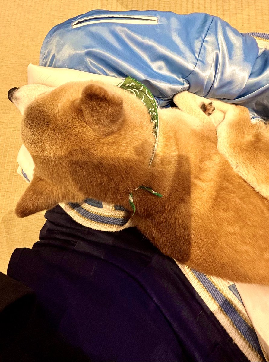 アンナ🛁 tweet media