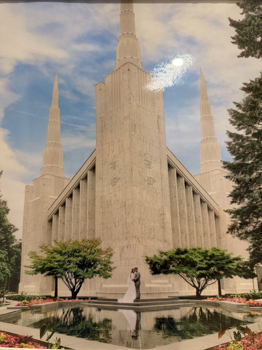 BYU Florida 🐆⚔️ tweet media