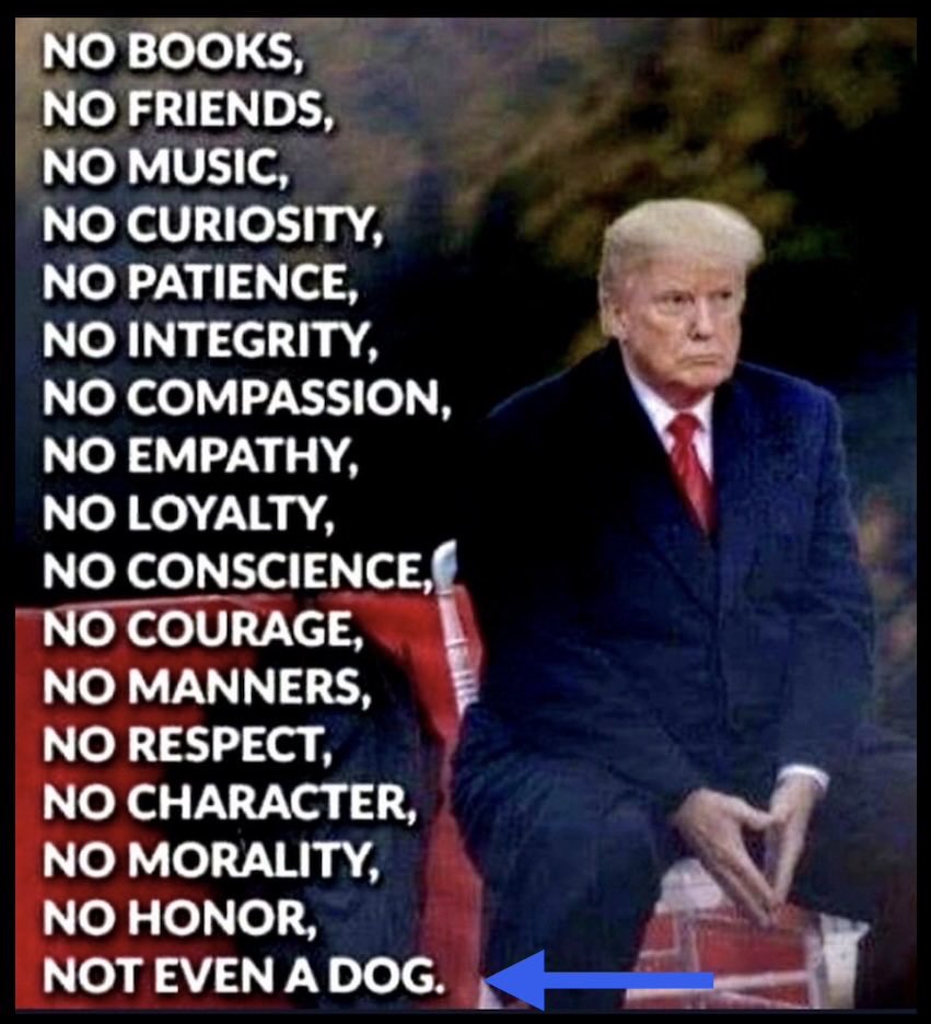 Just saying tweet media