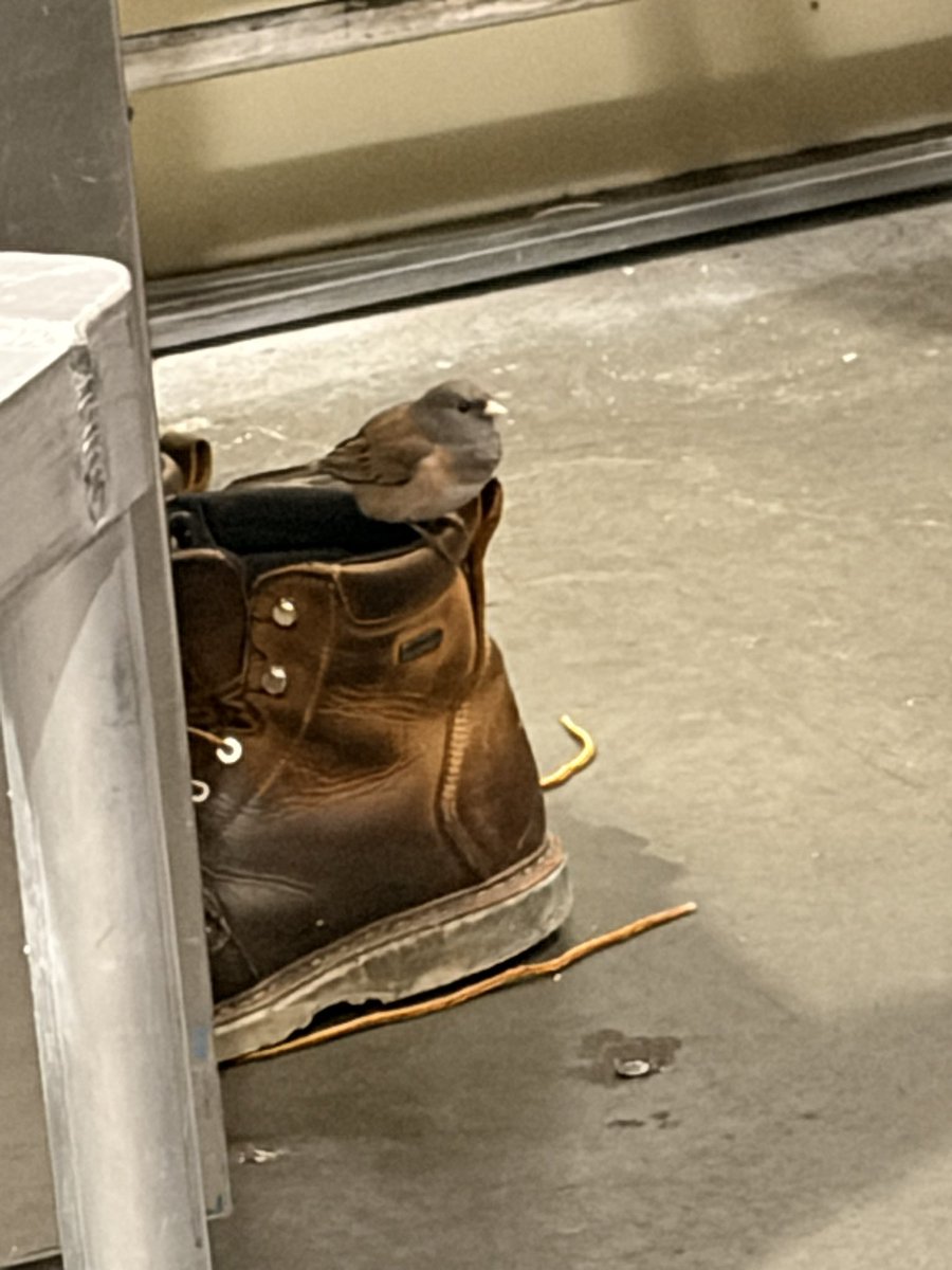 FuckingRod tweet media