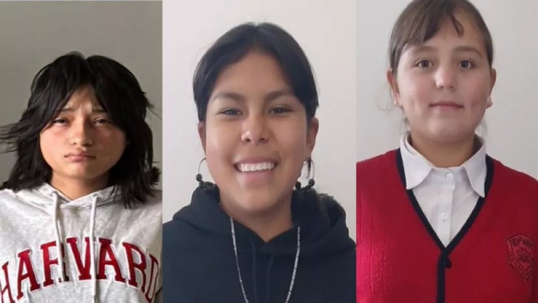 Leonardo tweet media